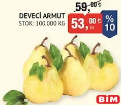 DEVECİ ARMUT KG DEVECİ ARMUT KG